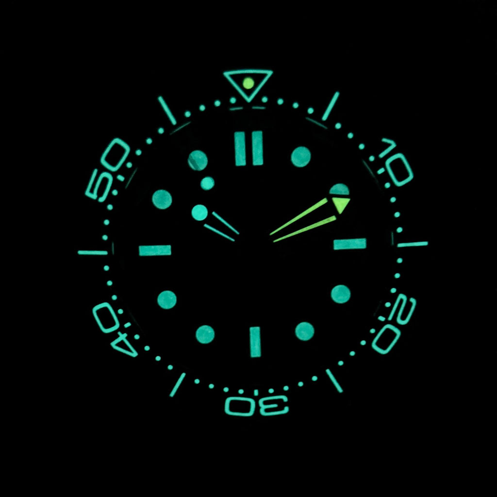 Omega Seamaster Diver 300 M 007