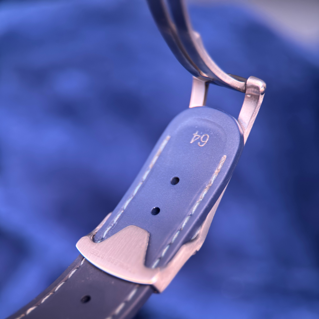 Omega Seamaster Aqua Terra w/ Blue Strap