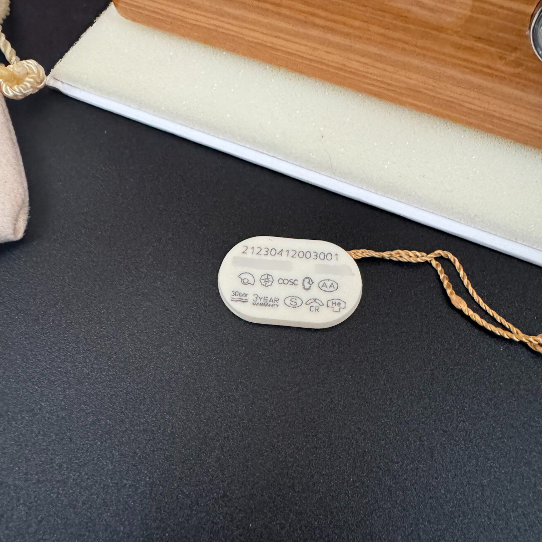 Omega Seamaster Diver